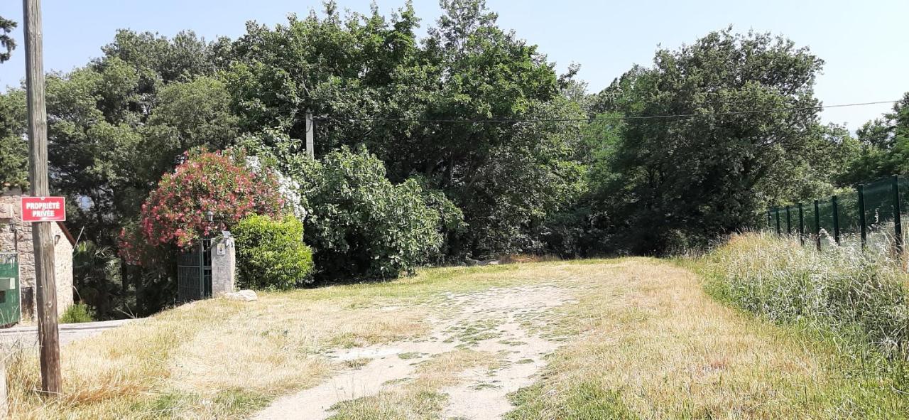 Gite De Charme Dans Mas Catalan Prades  Exterior foto